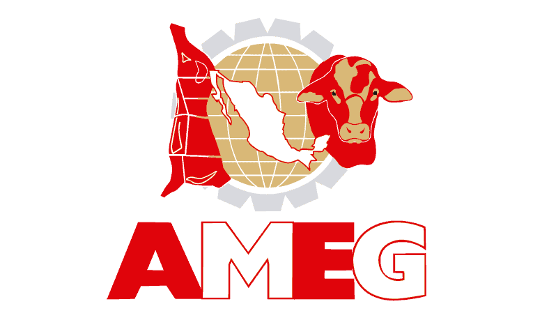 Certificación AMEG