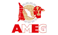 Certificación AMEG