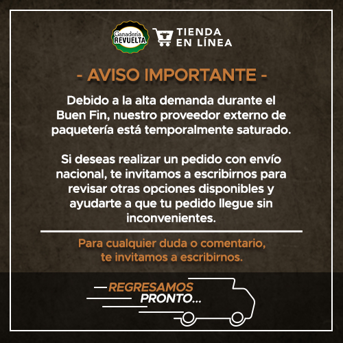 Servicio de envios 2025